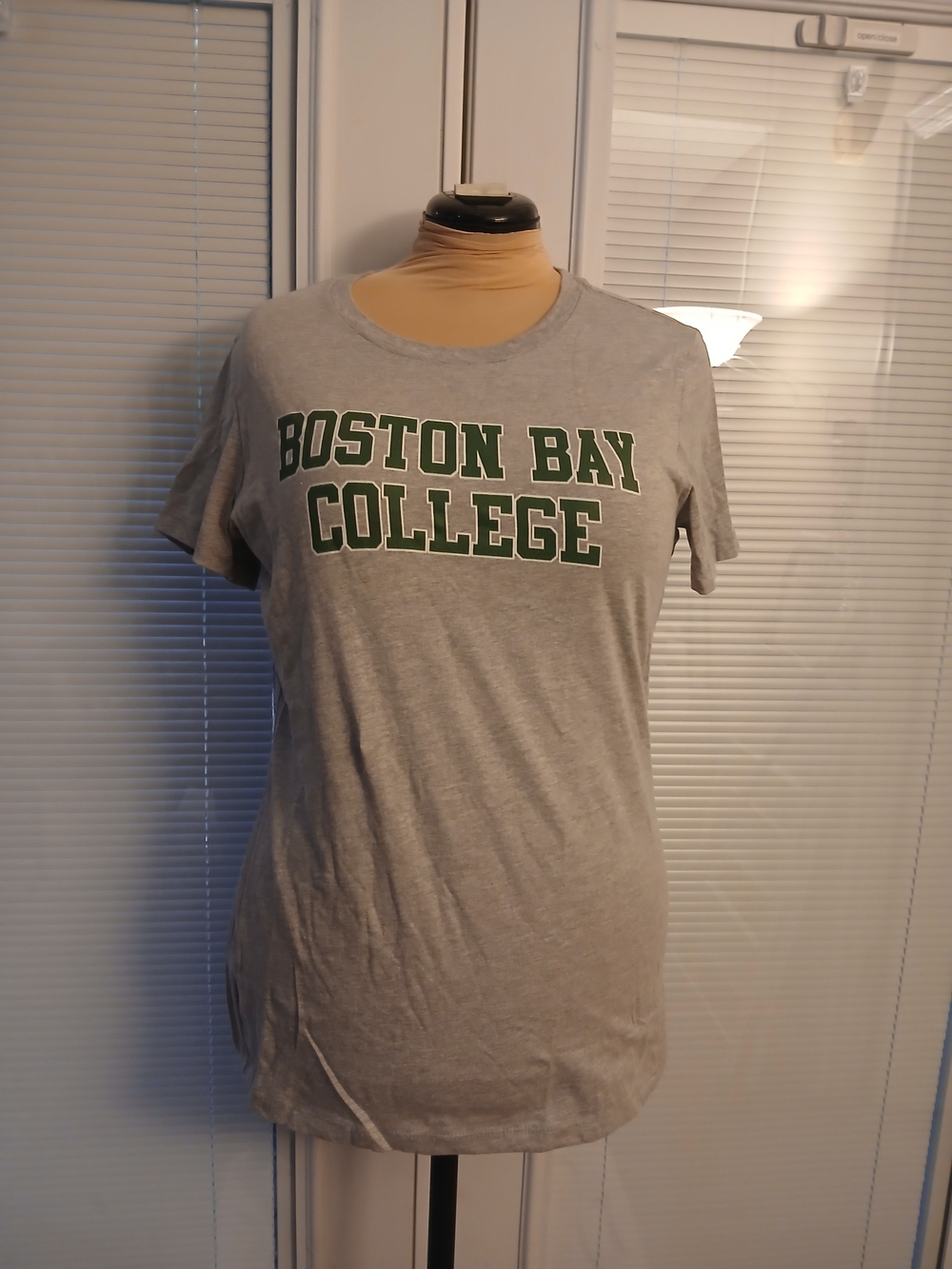 Dawsons Creek Y2K Boston Bay College Gray Tee